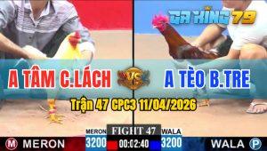 Trận 47 CPC3 11/04/2026 - Gà Điều Anh Tèo Bến Tre Dở Chân Là Có Cựa