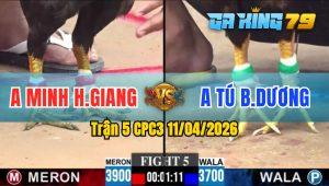 Trận 5 CPC3 11/04/2026 - Gà Anh Minh Hậu Giang Đá Đâm Như Sát Thủ