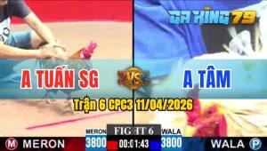 Trận 6 CPC3 11/04/2026 - Gà Khét Bông Của Anh Tuấn SG Đá Quá Tốc Độ