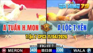 Trận 7 CPC3 11/04/2026 - Gà Bướm Anh Tuấn Hóc Môn Hạ Đối Thủ Nhanh Gọn