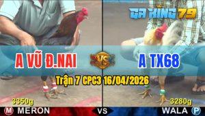 Trận 7 CPC3 16/04/2026 - Gà Xám Đá Đối Thủ Không Có Đường Phản