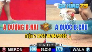 Trận 7 CPC3 18/04/2026 - Gà Anh Quốc Bến Cầu Quá Nhanh Quá Nguy Hiểm