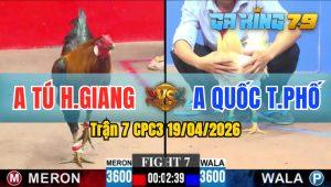 Trận 7 CPC3 19/04/2026 - Gà Anh Tú HG Đá Trên Chân Hạ Đối Thủ