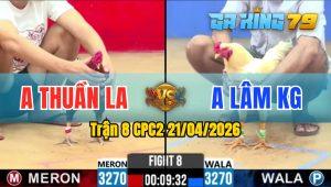 Trận 8 CPC2 21/04/2026 - Điều Bị Phản Trong Kiến Bó Dò Tang Ăn 3