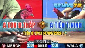Trận 8 CPC3 14/04/2026 - Gà Anh Tiên Tây Ninh Đá 3 Chân Hốt Bạc
