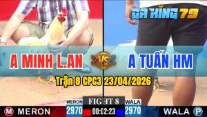 Trận 8 CPC3 23/04/2026 - Gà Bướm Của Má Minh Đá Đâm Toàn Cựa Tịch