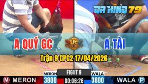 Trận 9 CPC2 17/04/2026 - Gà Anh Tài Có Chân Cựa Chí Mạng