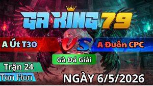 Trận 24 TonHon Ngày 06/05/2026 - Úa bay nhảy đẩy cây bòn đuôn đập cánh