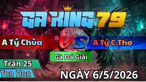 Trận 25 TonHon Ngày 06/05/2026 - Que canh nạp đạp đúng cây điều xách đuôi ra sân