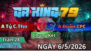 Trận 28 TonHon Ngày 06/05/2026 - Đỏ điềm tĩnh vào cựa sốc nổi dí xanh phải chạy bỏ mạng