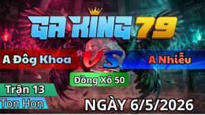 Trận 13 TonHon Ngày 06/05/2026 - Điều đuôi lao đưa mẻ điều bà tư đi xa chỉ 1 chân