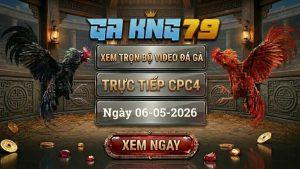 Xem Full Video Đá Gà CPC4 Ngày 06/05/2026