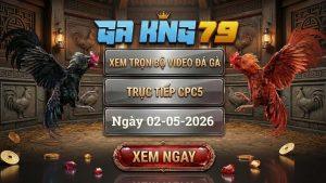 Xem Full Video Đá Gà CPC5 Ngày 02/05/2026