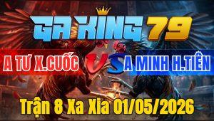 Trận 8 Xa Xia 01/05/2026 - Bướm vô lọt trước cây chết tới trả lại cây vàng chết theo hòa